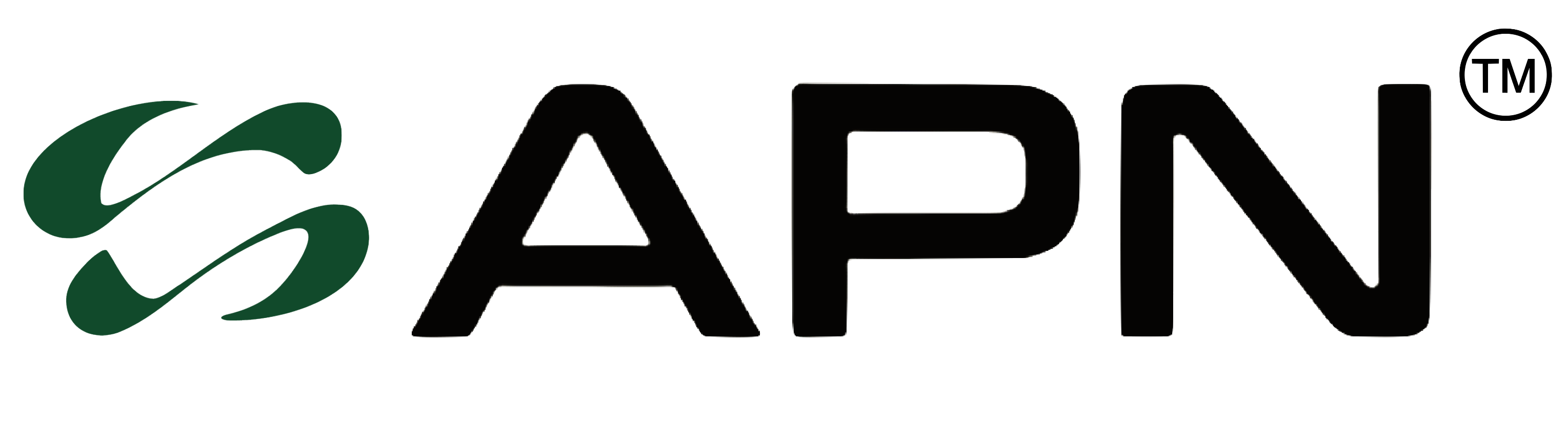 APN Logo