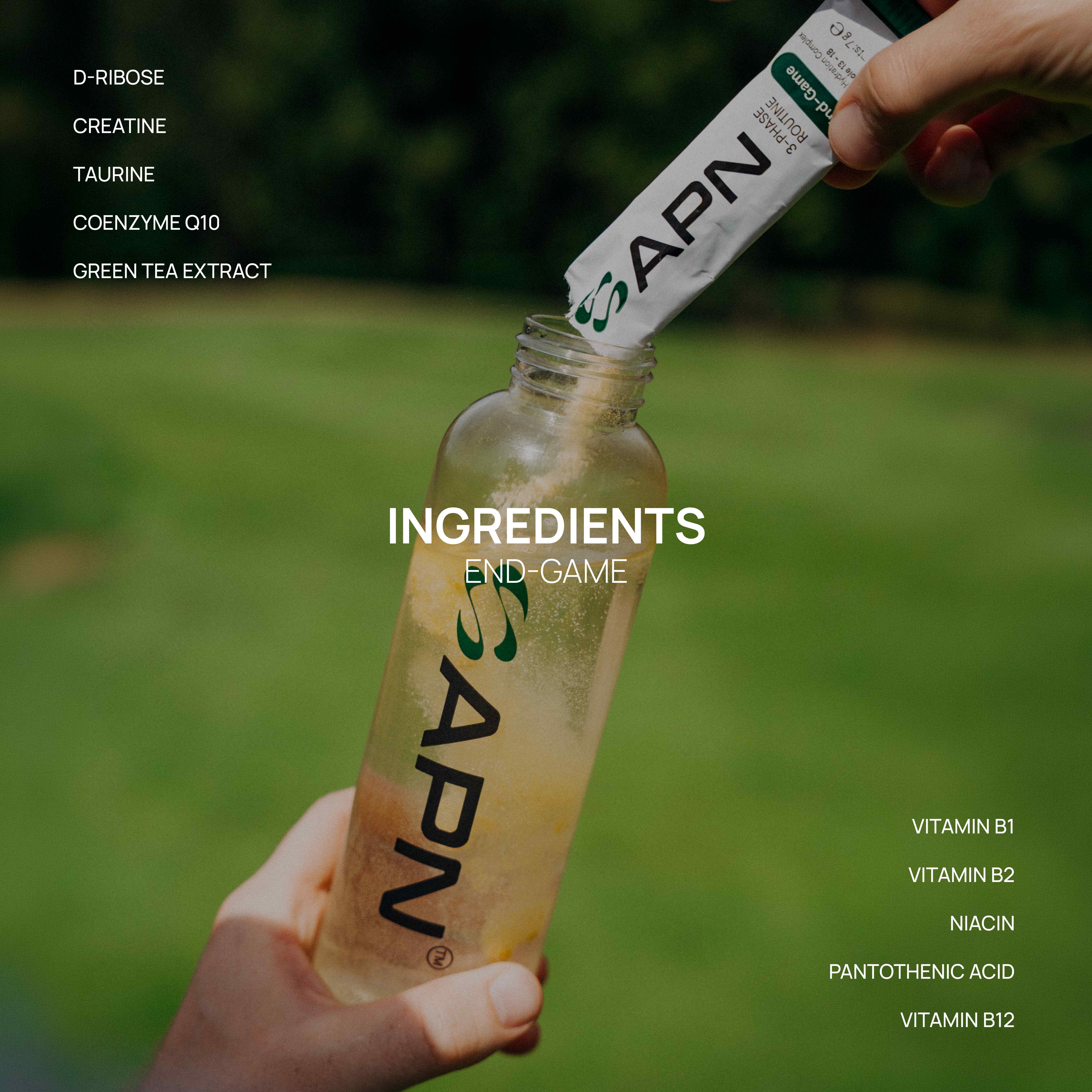 End-Game sachet ingredients — D-Ribose, Creatine, Taurine, CoQ10, Green Tea Extract, B-vitamins
